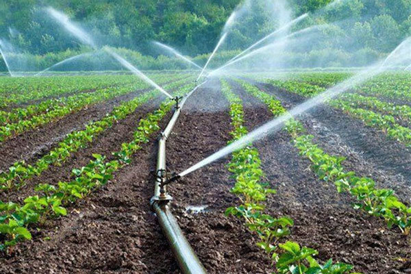 کشاورزی گلستان در گرو تکنولوژی روز است | حمایت دولت از توسعه زراعت مدرن
