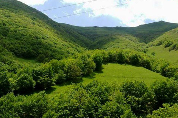 منابع طبیعی استان اردبیل رتبه اول کشوری را کسب کرد