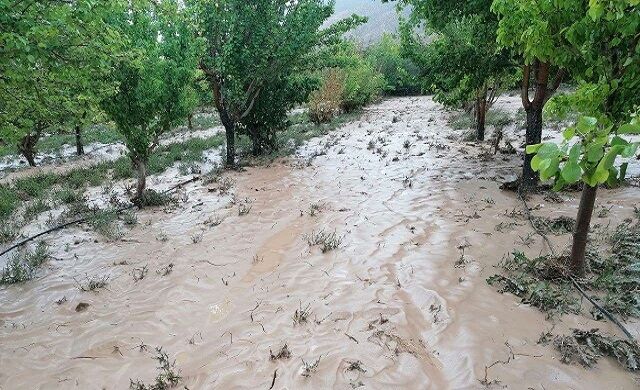 خسارت ۱۲ هزار میلیاردی سیل به بخش کشاورزی بلوچستان