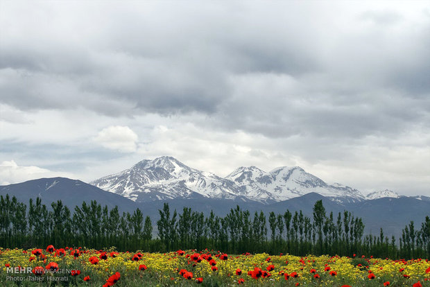 مشگین‌شهر تکه‌ای کوچکی از بهشت در دامنه سرسبز سبلان