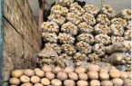 صادرات سیب زمینی مشمول عوارض ۶۰ درصدی شد