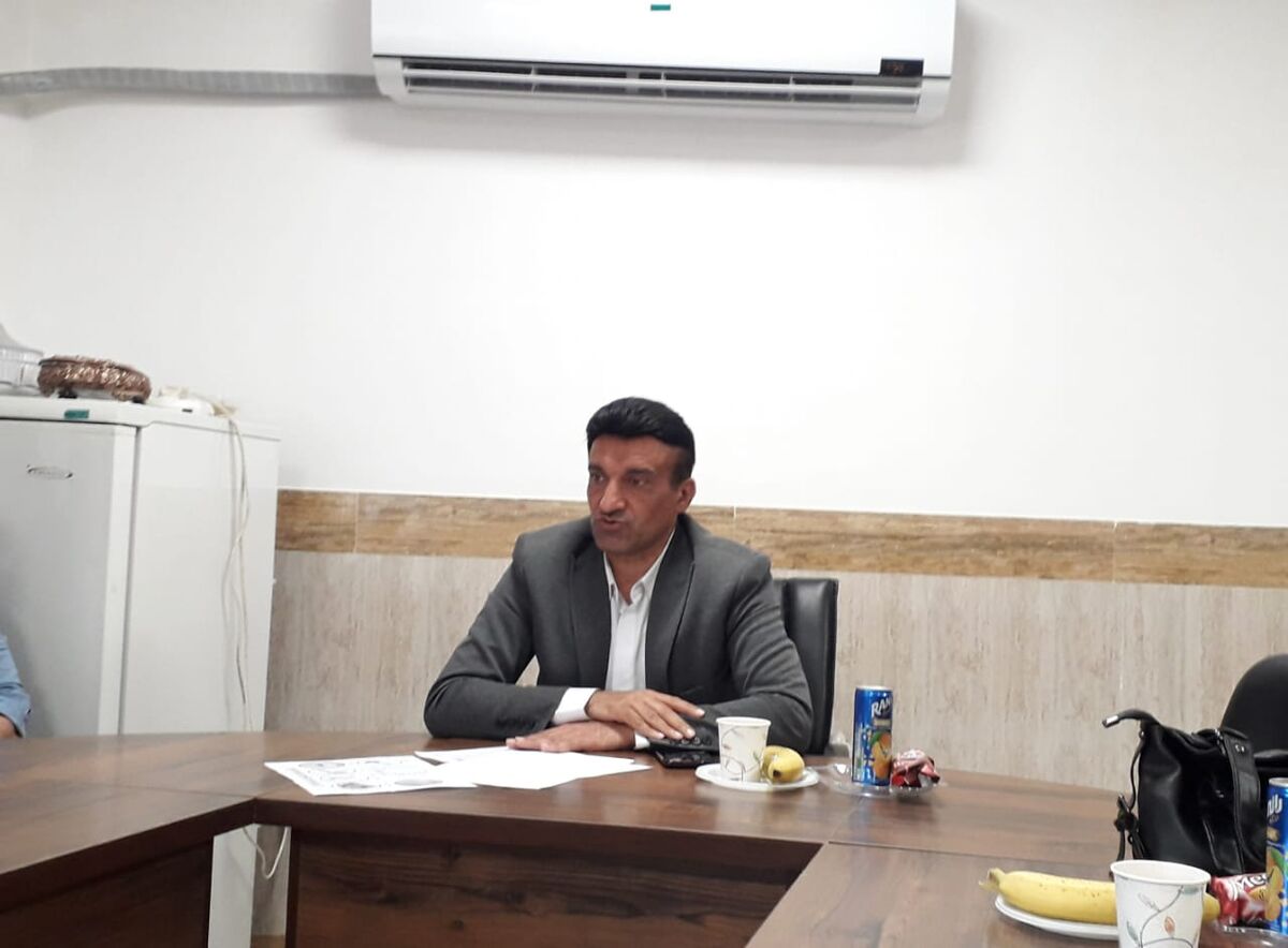 ابهام در سرنوشت نهال کاری های منابع طبیعی گلستان| سرمایه‌ای که از بین می‌رود