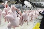 جریمه ۲۳ میلیاردی مدیر یک کشتارگاه مرغ به دلیل گران‌فروشی