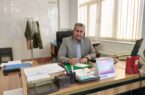 جنگل بانان با جانثاری های خود از کالبد درختان حفاظت می کنند