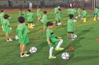 استعدادیابی از ۷۰۰ نوآموز با برگزاری فستیوال مدارس فوتبال