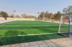 راه‌اندازی بیش از ۵۰ زمین مینی چمن در روستا‌های اردبیل