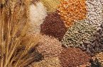 شرکت‌های روسی و ایرانی یک مرکز لجستیک چندوجهی برای صادرات غلات خواهند ساخت