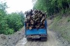 کشف ۱۸۰۰ کیلو گرم چوب راش جنگلی قاچاق درشهرستان نمین