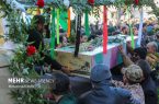 فرزندان صدیقه کبری اردبیل را عطرآگین کردند
