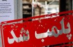 اجرای طرح نظارت و کنترل بر اصناف در پارس آباد