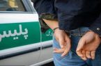 دستگیری پنج سارق سیم‌های برق در مشگین‌شهر