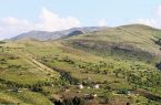 کشف زمین‌خواری به ارزش ۱۱۸ میلیارد ریال در اردبیل