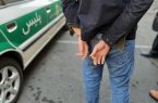 دستگیری سارقان و توقیف خودروهای هنجارشکن در پارس‌آباد و گرمی
