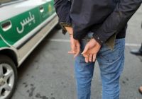 دستگیری سارقان و توقیف خودروهای هنجارشکن در پارس‌آباد و گرمی