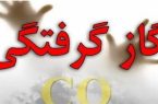 مسمومیت ۹ نفر با گاز مونو اکسیدکربن در استان اردبیل
