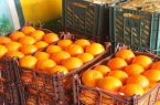 توزیع میوه شب عید در شهرستان اردبیل
