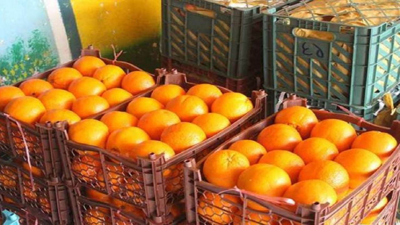 توزیع میوه شب عید در شهرستان اردبیل