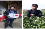 کشاورز نمونه وبرتر استان اردبیل معرفی شد