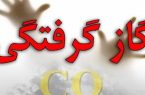 کاهش فوتی‌های ناشی از مسمومیت با گاز مونوکسید کربن در اردبیل