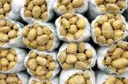 کشف ۴۵ تن سیب‌زمینی احتکار شده در اردبیل