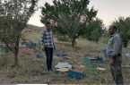 پرداخت ۳.۵ میلیارد ریال جبران خسارت حیات وحش در اردبیل