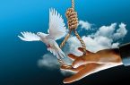 به عشق حضرت علی(ع)؛ ۲ جوان اردبیلی از چوبه دار رهایی یافتند