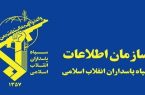 دستگیری عنصر تجزیه‌طلب در مشگین شهر