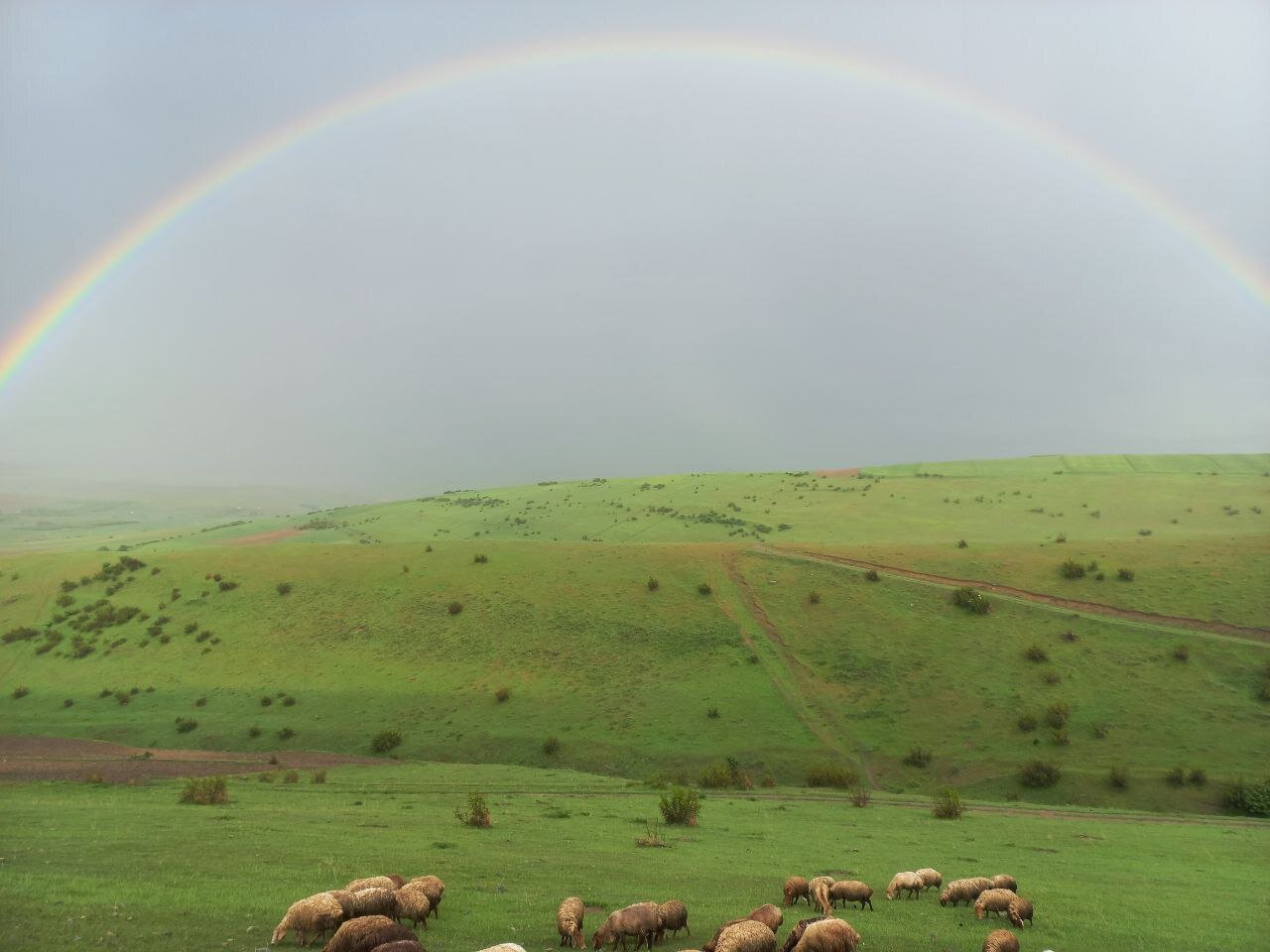 پیش‌بینی جوی پایدار در ۵ روز آینده برای استان اردبیل