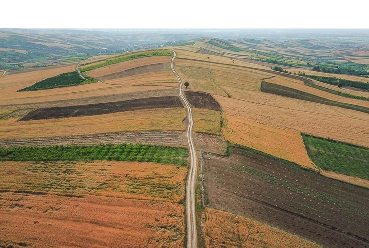 مشارکت ۳۷ هزار کشاورز استان اردبیل در طرح جهش تولید دیمزارها