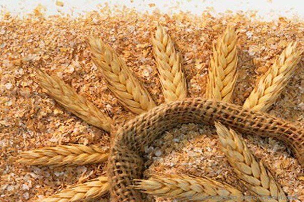 ۶ مرکز خرید گندم در پارس‌آباد مغان راه‌اندازی شد