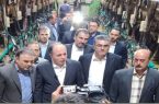 بازدید وزیر جهاد کشاورزی از مجتمع کشت و صنعت مغان
