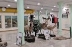 بازدید مجازی از موزه تاریخ طبیعی اردبیل