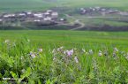 ۳۰ روستای گرمی خالی از سکنه