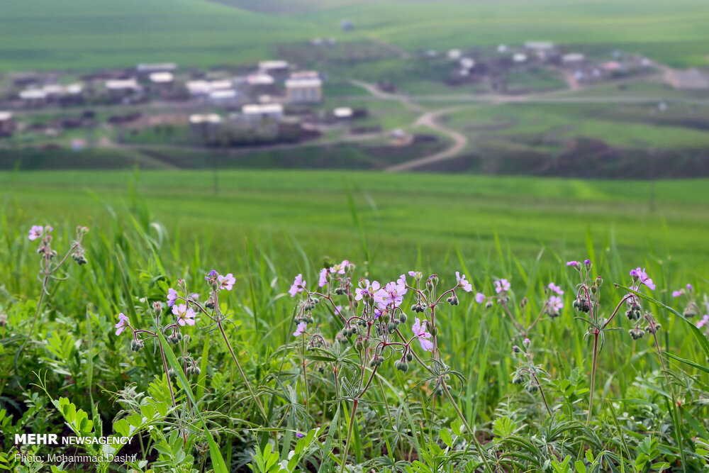 ۳۰ روستای گرمی خالی از سکنه