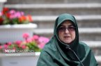 مهاجرانی: دولت مصمم به بازگشت اتباع غیرمجاز است