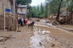 سیل به ۵۰ هکتار از باغات نمهیل خلخال خسارت زد
