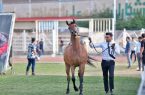 ثبت جشنواره شو اسب سواری سرعین در تقویم رویداد‌های گردشگری کشور
