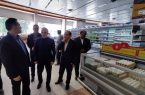 ثبات بازار در استان اردبیل| بیش از هزار تن مرغ توزیع شد