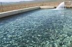 احیای مزرعه پرورش ماهیان سردآبی در اردبیل با ظرفیت ۷ تن