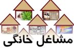 ۸۷۰ طرح مشاغل خانگی در استان اردبیل تسهیلات دریافت کردند