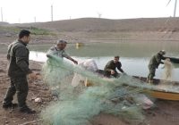 برخورد با صیادان و شکارچیان غیرقانونی در اردبیل
