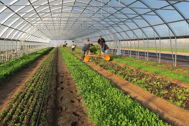 عملیات اجرایی شهرک گلخانه‌ای شهرستان اردبیل آغاز می‌شود