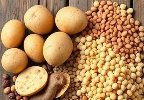 گلایه سیب زمینی کاران از وضع بازار و قیمت کم محصول
