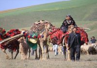 زمزمه بازگشت زودرس عشایر بالا گرفت