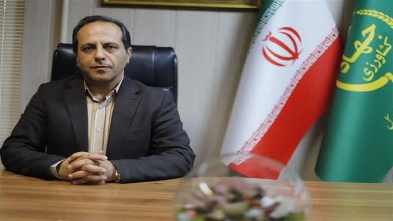 تداوم تامین کالا‌های اساسی در اردبیل