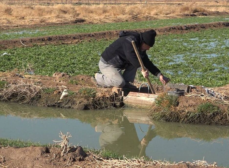 ۴۰ هزار نفر در شبکه آبیاری و زهکشی خدا آفرین اشتغال می‌یابند