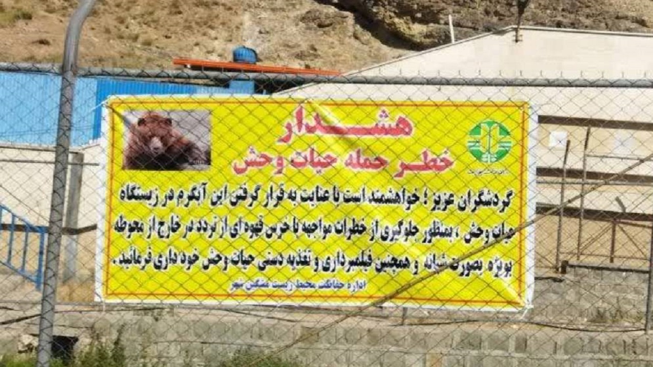 کوهنوردان از نزدیک شدن به زیستگاه و حریم خرس در کوهستان سبلان خودداری نمایند