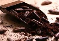 تولید دله های قهوه عربی در زنجان؛ بر روی ترویج فرهنگ استفاده از قهوه هسته خرما کار می کنیم