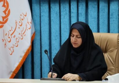 افتتاح ۱۱۶ طرح خوداشتغالی بهزیستی‌ اردبیل در هفته دولت