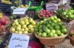 جشنواره سیب در مشگین‌شهر برگزار شد